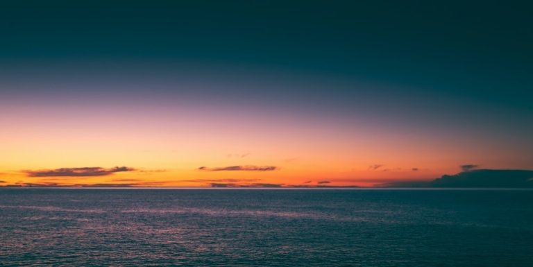 Une matinée clients et une régate avec INFOCOB Solutions